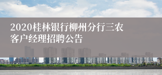 2020桂林银行柳州分行三农客户经理招聘公告