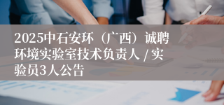 2025中石安环(广西)诚聘环境实验室技术负责人 / 实验员3人公告