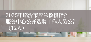 2025年临沂市应急救援指挥服务中心公开选聘工作人员公告(12人)