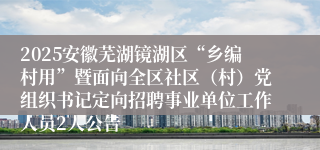 2025安徽芜湖镜湖区“乡编村用”暨面向全区社区（村）党组织书记定向招聘事业单位工作人员2人公告