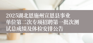 2025湖北恩施州宣恩县事业单位第二次专项招聘第一批次测试总成绩及体检安排公告