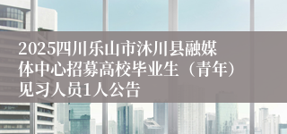 2025四川乐山市沐川县融媒体中心招募高校毕业生(青年)见习人员1人公告