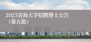 2025青海大学招聘博士公告(第五批)