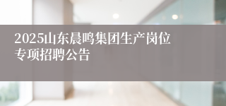 2025山东晨鸣集团生产岗位专项招聘公告