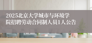 2025北京大学城市与环境学院招聘劳动合同制人员1人公告