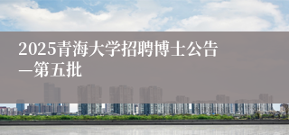 2025青海大学招聘博士公告—第五批