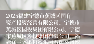 2025福建宁德市蕉城区国有资产投资经营有限公司、宁德市蕉城区园投集团有限公司、宁德市蕉城区乡投集团有限公司、福建环三兴港投资集团有限公司招聘工作人员13人公告