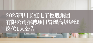 2025四川长虹电子控股集团有限公司招聘项目管理高级经理岗位1人公告