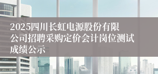 2025四川长虹电源股份有限公司招聘采购定价会计岗位测试成绩公示