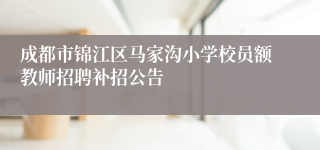 成都市锦江区马家沟小学校员额教师招聘补招公告