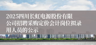 2025四川长虹电源股份有限公司招聘采购定价会计岗位拟录用人员的公示