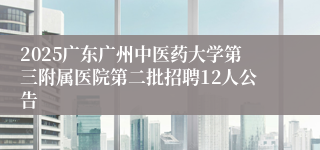 2025广东广州中医药大学第三附属医院第二批招聘12人公告