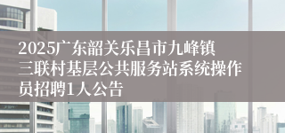 2025广东韶关乐昌市九峰镇三联村基层公共服务站系统操作员招聘1人公告