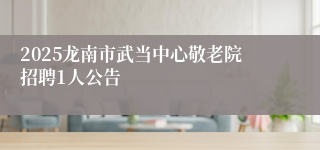 2025龙南市武当中心敬老院招聘1人公告