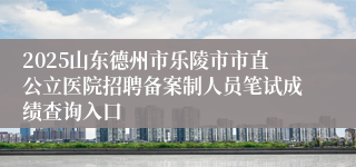 2025山东德州市乐陵市市直公立医院招聘备案制人员笔试成绩查询入口