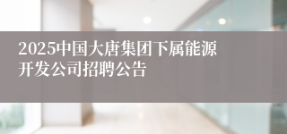 2025中国大唐集团下属能源开发公司招聘公告