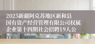 2025新疆阿克苏地区新和县国有资产经营管理有限公司权属企业第十四期社会招聘19人公告