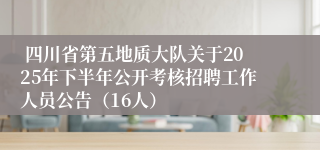  四川省第五地质大队关于2025年下半年公开考核招聘工作人员公告（16人）