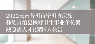 2022云南普洱市宁洱哈尼族彝族自治县医疗卫生事业单位紧缺急需人才招聘6人公告