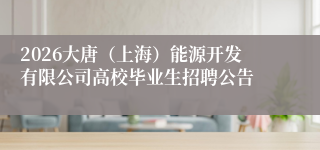 2026大唐（上海）能源开发有限公司高校毕业生招聘公告