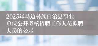 2025年马边彝族自治县事业单位公开考核招聘工作人员拟聘人员的公示