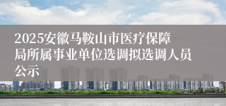 2025安徽马鞍山市医疗保障局所属事业单位选调拟选调人员公示