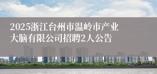 2025浙江台州市温岭市产业大脑有限公司招聘2人公告