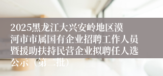 2025黑龙江大兴安岭地区漠河市市属国有企业招聘工作人员暨援助扶持民营企业拟聘任人选公示（第二批）