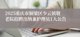 2025重庆市铜梁区少云镇敬老院招聘出纳兼护理员1人公告