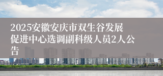2025安徽安庆市双生谷发展促进中心选调副科级人员2人公告