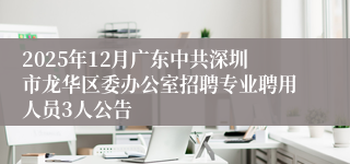 2025年12月广东中共深圳市龙华区委办公室招聘专业聘用人员3人公告