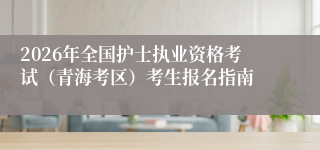 2026年全国护士执业资格考试(青海考区)考生报名指南