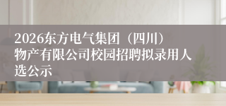 2026东方电气集团(四川)物产有限公司校园招聘拟录用人选公示