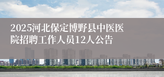 2025河北保定博野县中医医院招聘工作人员12人公告