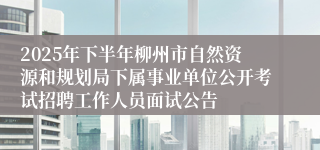 2025年下半年柳州市自然资源和规划局下属事业单位公开考试招聘工作人员面试公告