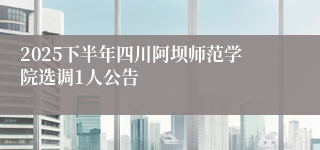 2025下半年四川阿坝师范学院选调1人公告