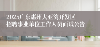 2025广东惠州大亚湾开发区招聘事业单位工作人员面试公告