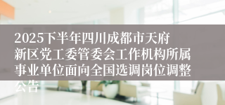 2025下半年四川成都市天府新区党工委管委会工作机构所属事业单位面向全国选调岗位调整公告
