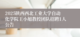 2025陕西西北工业大学自动化学院王小旭教授团队招聘1人公告