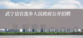 武宁县官莲乡人民政府公开招聘