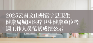 2025云南文山州富宁县卫生健康局城区医疗卫生健康单位考调工作人员笔试成绩公示