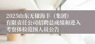 2025山东无棣海丰(集团)有限责任公司招聘总成绩和进入考察体检范围人员公告