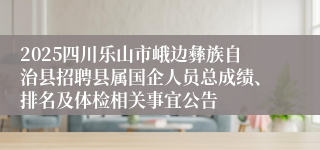 2025四川乐山市峨边彝族自治县招聘县属国企人员总成绩、排名及体检相关事宜公告