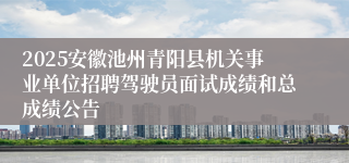 2025安徽池州青阳县机关事业单位招聘驾驶员面试成绩和总成绩公告