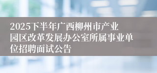 2025下半年广西柳州市产业园区改革发展办公室所属事业单位招聘面试公告