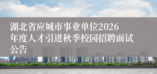 湖北省应城市事业单位2026年度人才引进秋季校园招聘面试公告
