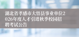 湖北省孝感市大悟县事业单位2026年度人才引进秋季校园招聘考试公告