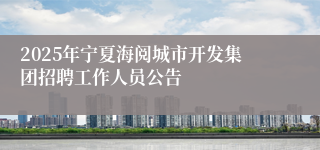2025年宁夏海阅城市开发集团招聘工作人员公告