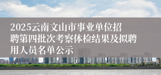 2025云南文山市事业单位招聘第四批次考察体检结果及拟聘用人员名单公示
