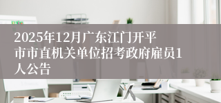 2025年12月广东江门开平市市直机关单位招考政府雇员1人公告